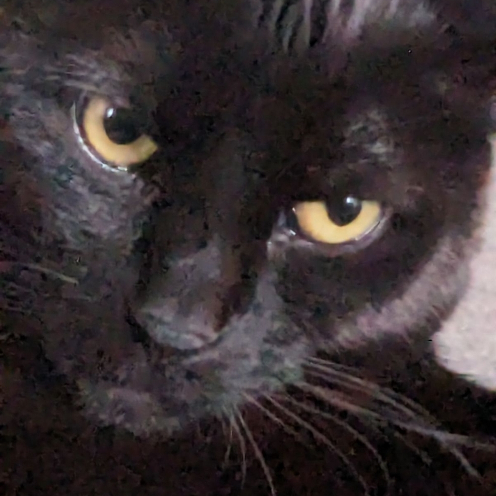 Meet your Posher, Rosemarie